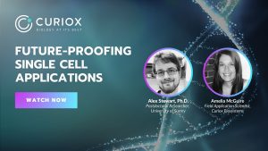 Copy-of-Webinar-Images-2-300x169